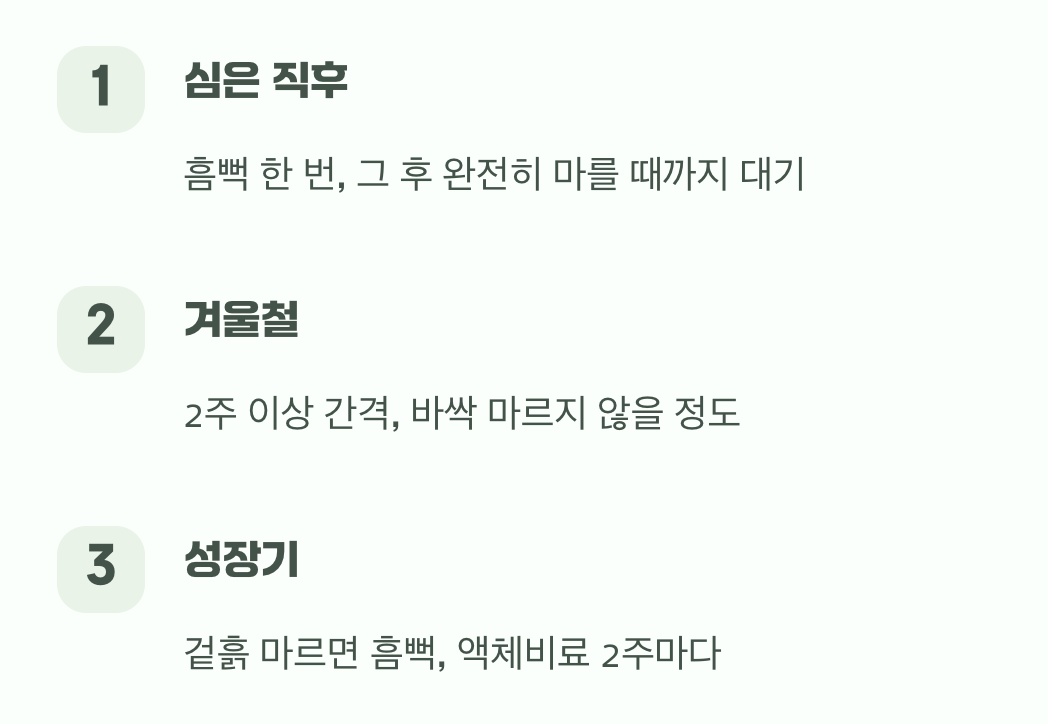 네 번째 비결: 과하지 않게, 똑똑한 물주기