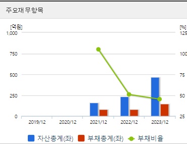 루미르 주가 재무지표