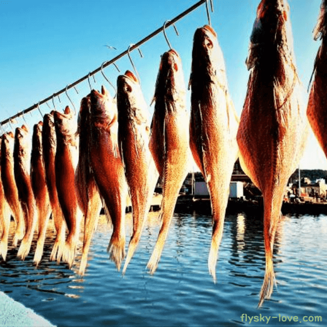 자연 바람에 건조 중인 민어