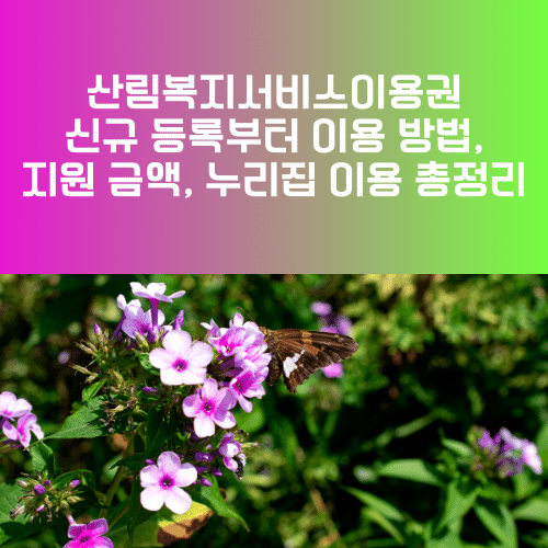산림복지서비스이용권 신규 등록부터 이용 방법, 지원 금액, 누리집 이용 총정리