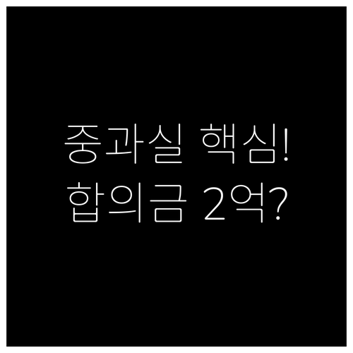 12대 중과실 사고 대비 합의금 2억..