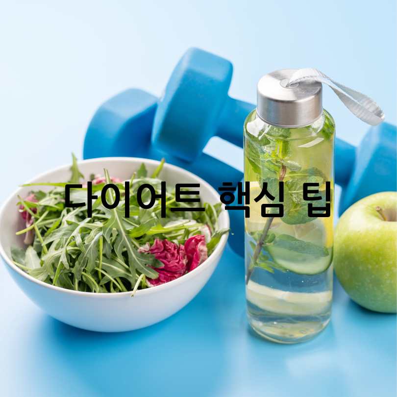 급찐급빠레몬수다이어트