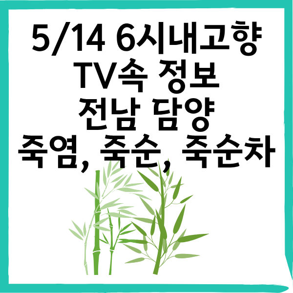 5/14 6시내고향 담양 죽염&middot;죽순&middot;전통차 총정리｜구매 방법과 위치 완벽 안내