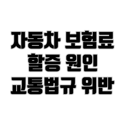 자동차 보험료 할증 원인 - 교통법규 위반