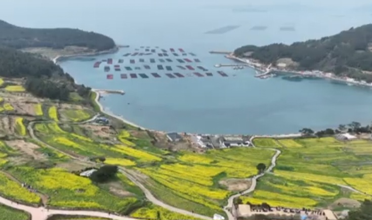 2025 청산도 슬로 걷기 축제 소개