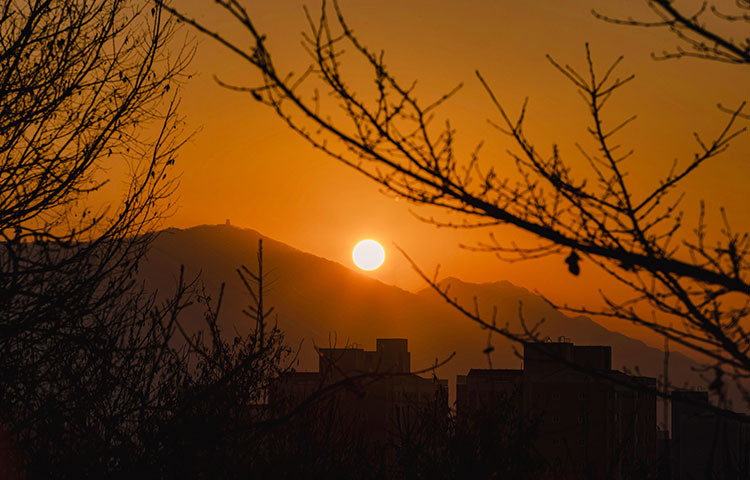 제20회 광릉숲축제 2025 완전 가이드 - 1년에 단 한 번 열리는 신비의 유네스코 숲