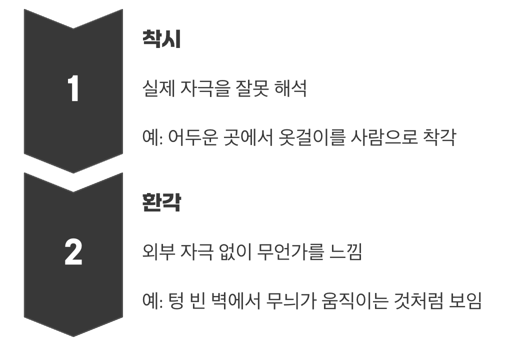 착시와 환각, 어떻게 다를까?