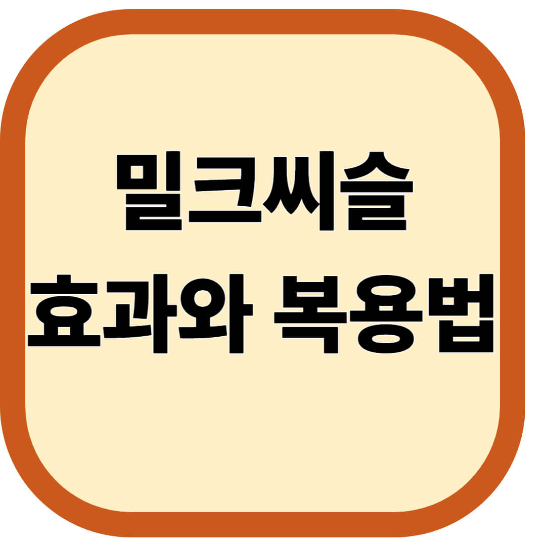 밀크씨슬 효과와 복용법