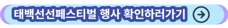 태백선선페스티벌 28일 개막