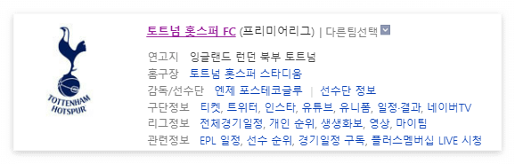 토트넘 내한, 프리시즌, 프리미어 리그 일정 알아보기