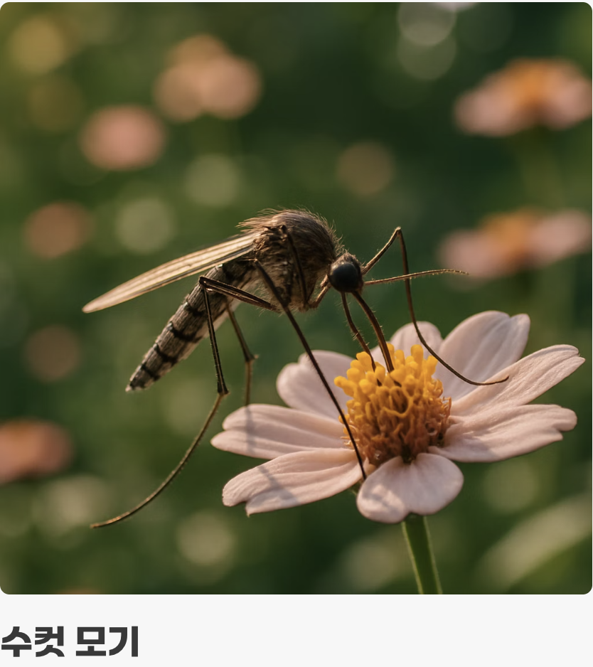 생활 방식의 차이, 만나는 장소가 다르다