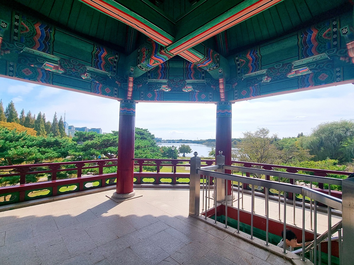 서울 근교 가을꽃 만발한, 경기도 고양시 강매석교공원 창릉천 코스모스축제