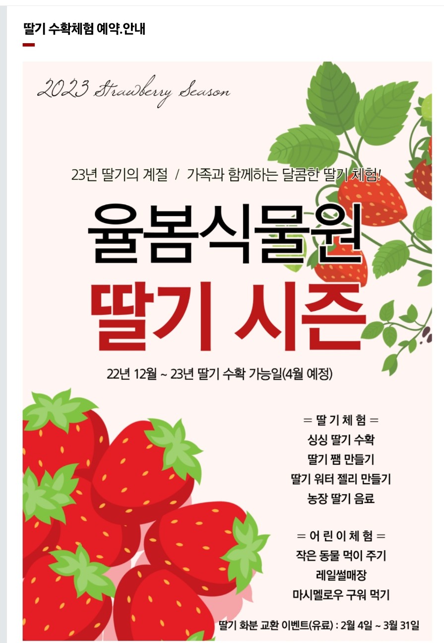 율봄식물원 딸기 수확체험 예약 안내