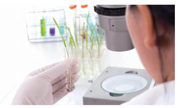 농촌지도사-어촌지도사-산림경영지도원-농림어업기술자-하는일-업무환경-되는법-학과,-전망