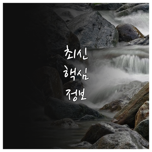 동물등록 필수 2025 대구 남구 광..