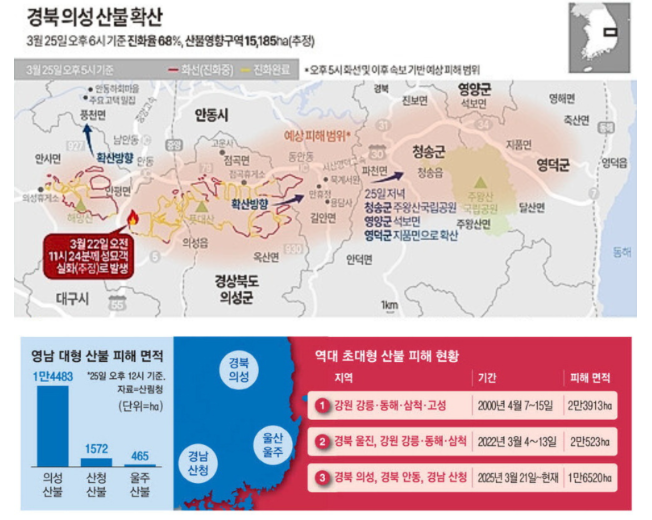 2025 의성 산불 원인과 현재 상황 총정리! (+산불 벌금 과태료 처벌기준)