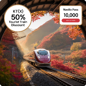 코레일 가을여행 관광열차 50%할인 + 내일로패스 1만원 할인 이미지