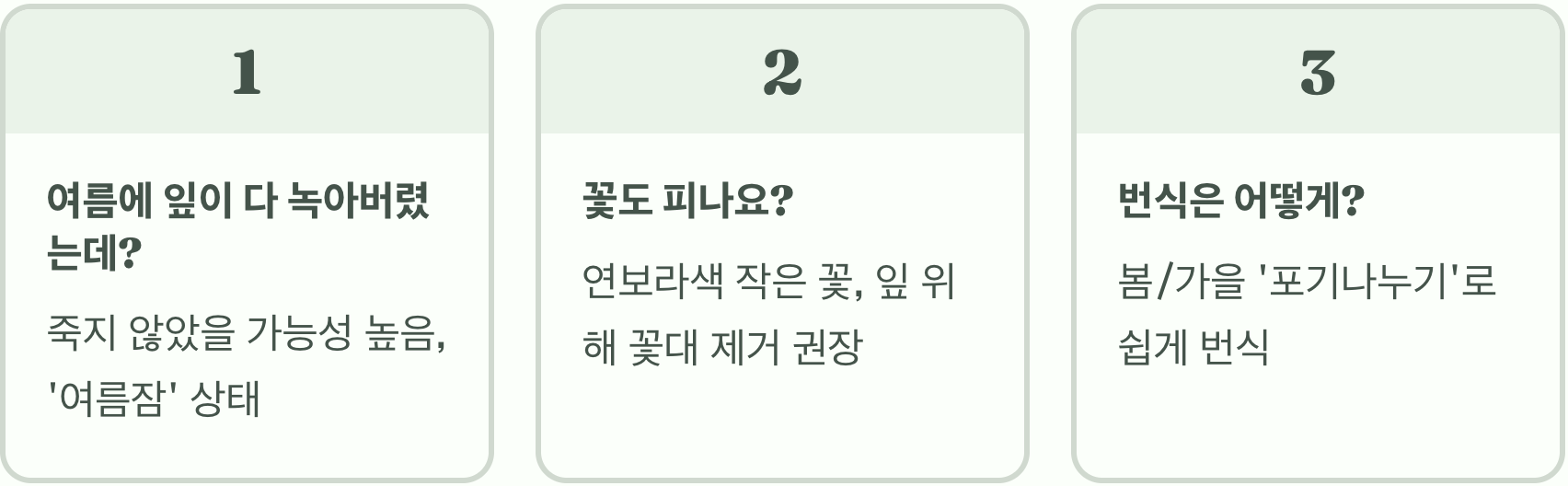 램스이어 키우기, 초보자가 가장 많이 하는 실수 TOP 3