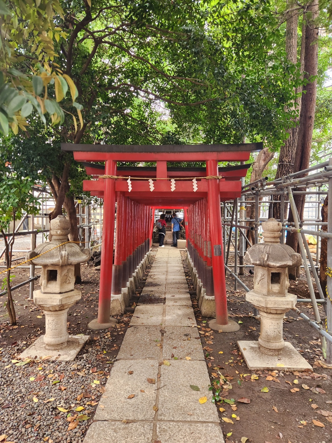 신주쿠 주변 신사