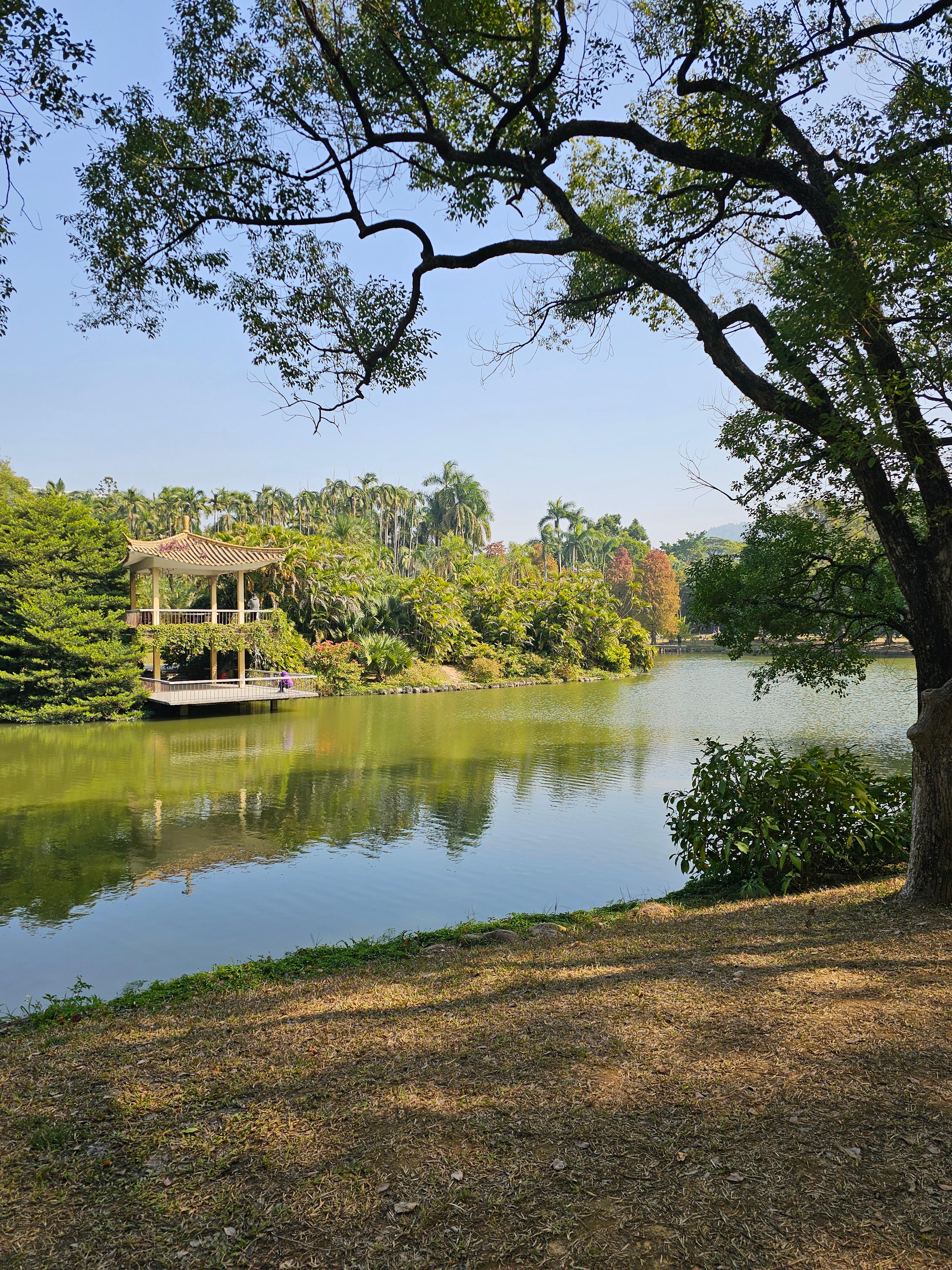 광저우 화남식물원
