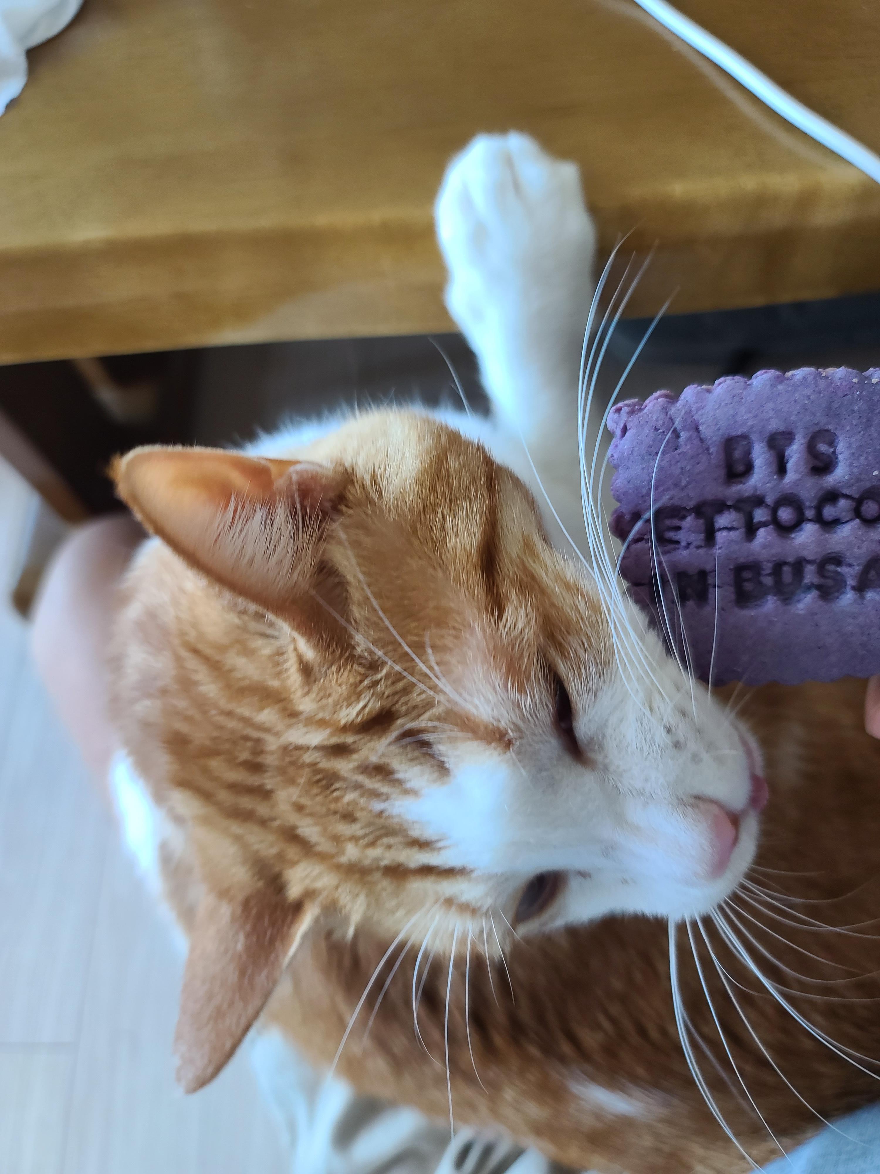 엄마손에 있는건 다 내꺼! 오랜만인 엄마랑의 오붓한 시간에 칭얼칭얼.