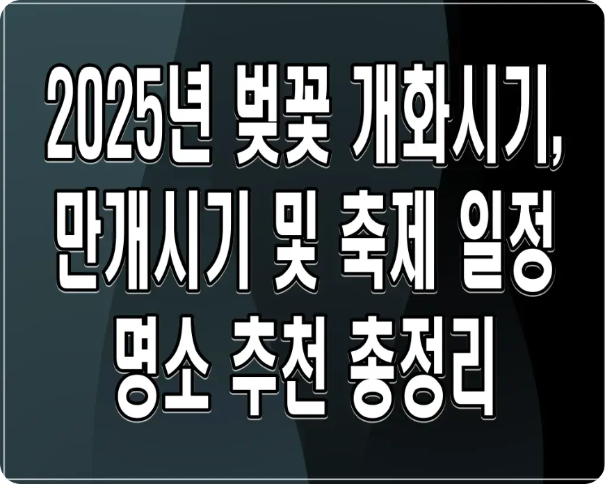 2025년 벚꽃 명소 추천 전국에서 만나는 봄의 향연