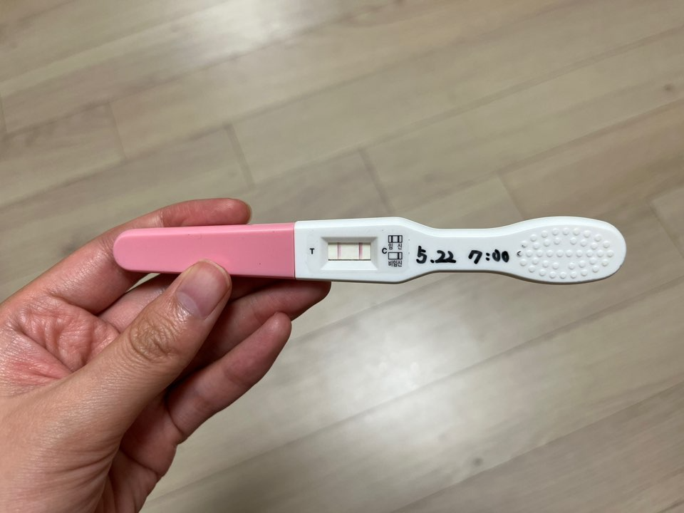 임신테스트기