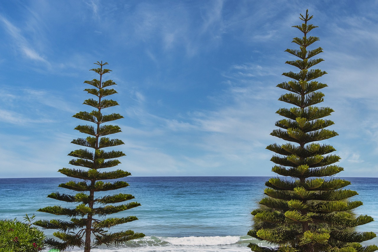 여름 국내 바다 여행지 관련 사진