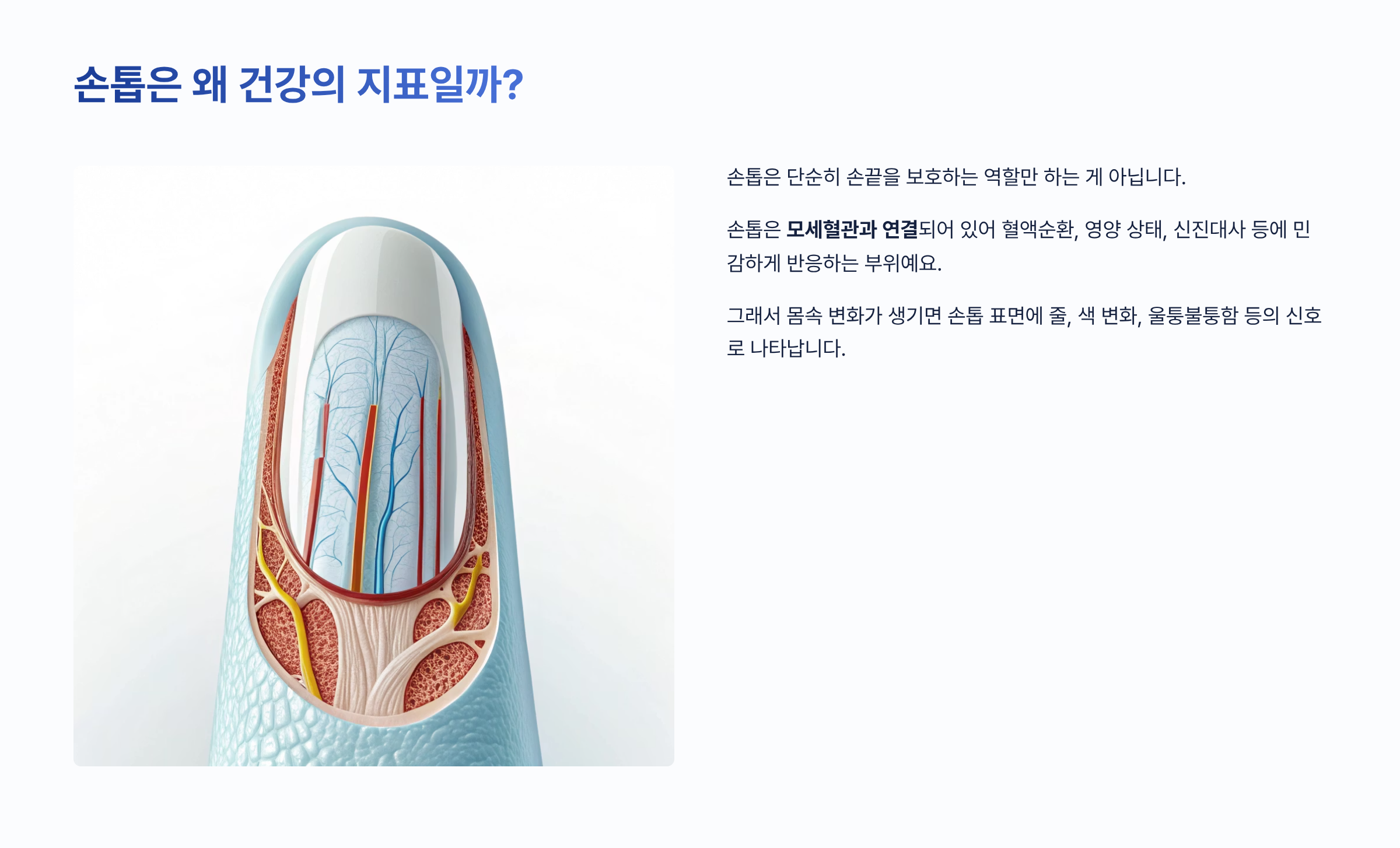손톱에 세로줄이 생기는 이유 총정리