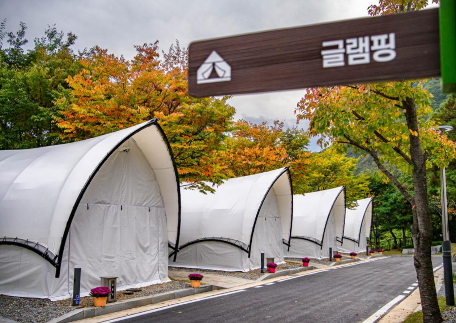 청량산 수원캠핑장 예약 방법