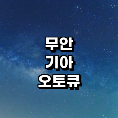 무안군 기아 오토큐