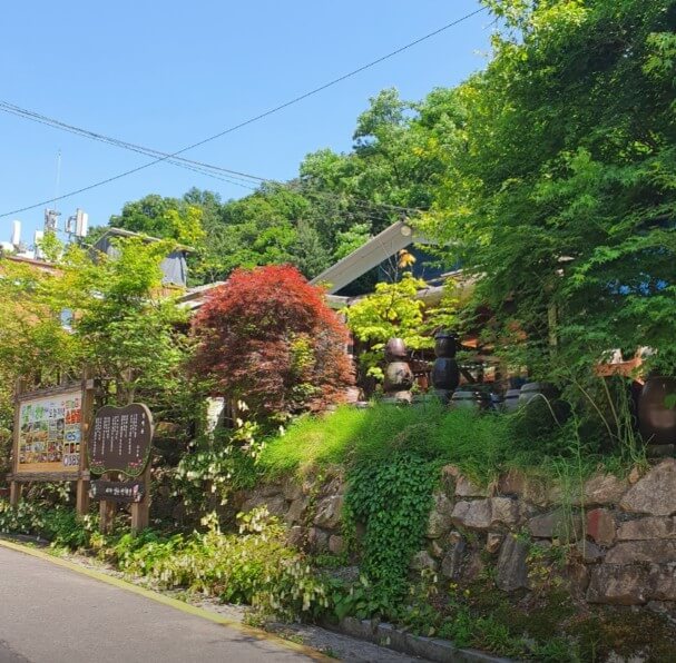 오늘N식큐멘터리 버섯전골 위치