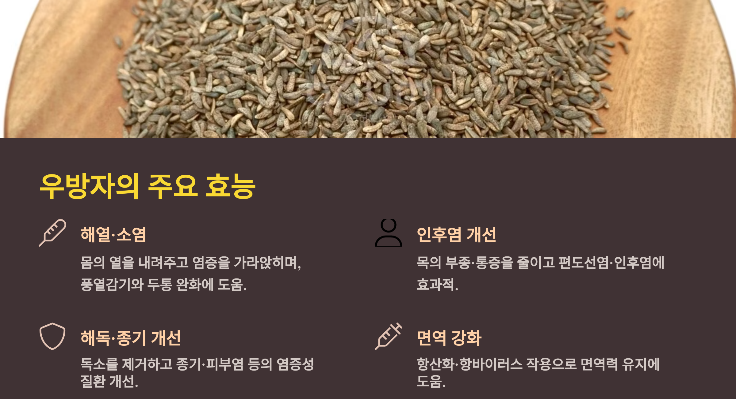 우방자 효능