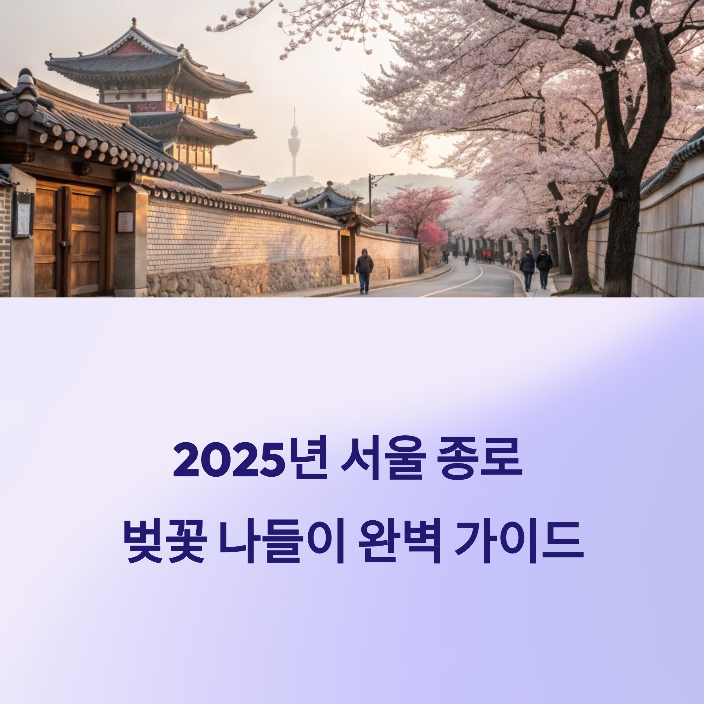 2025년 서울 종로 벚꽃 나들이 완벽 가이드