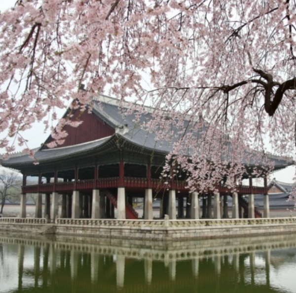 벚꽃명소