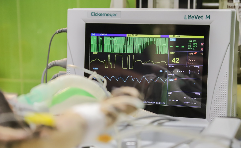 성인간호학 심부전과 관련된 합병증 예방 및 관리 약물 치료 생활 습관 관리 정기적인 의료 모니터링