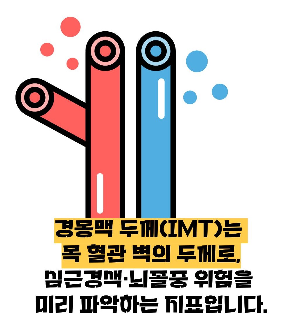 경동맥 두께 정상수치