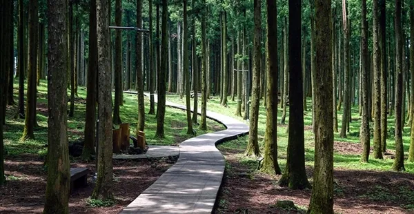 걷기좋은 명품 숲길 30선 숨겨진 코스_4