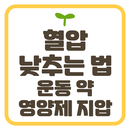 혈압 낮추는 법 운동 약 영양제 지압