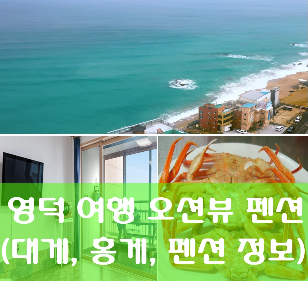 영덕 오션뷰 펜션 블루오션관광펜션