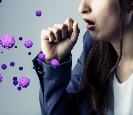 자연 식물로 완성하는 면역력 향상