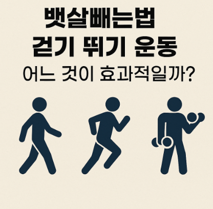 뱃살빼는법
