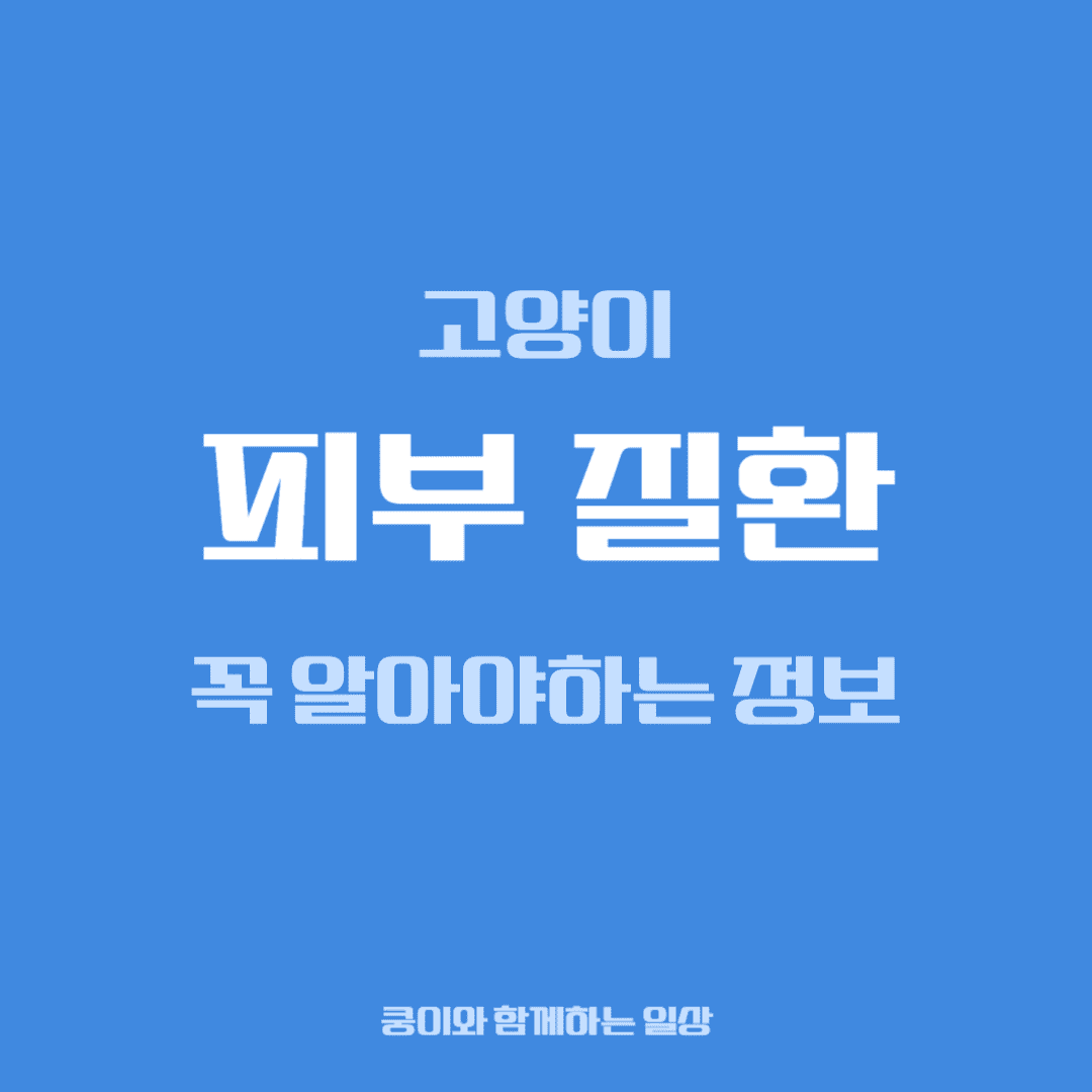 고양이 피부 질환, 집사가 꼭 알아야 할 정보