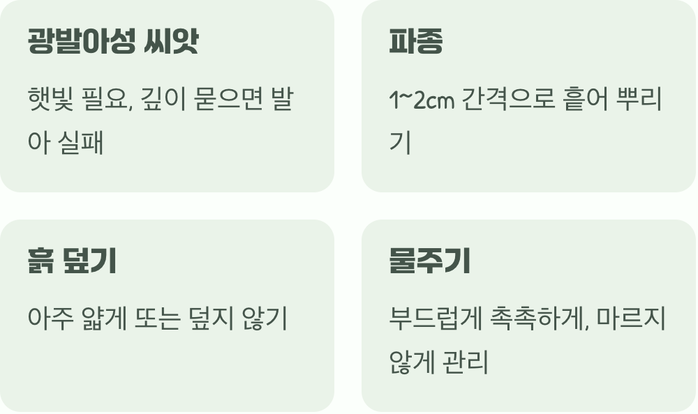 가볍고 부드럽게, 심는 요령