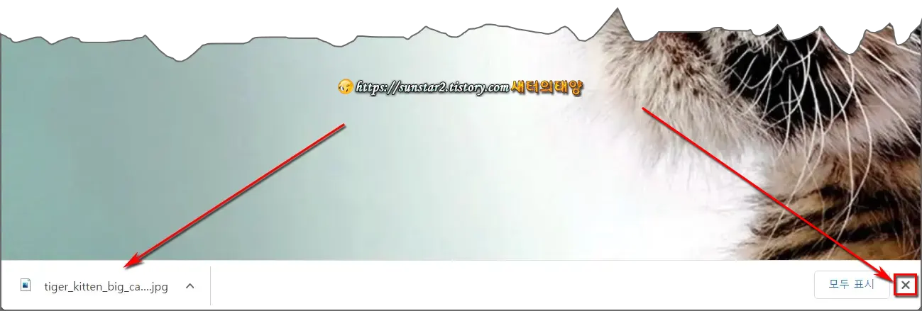 크롬 다운로드 표시줄 자동으로 닫는 방법_1