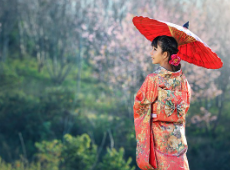 엔화 환율 전망 추이