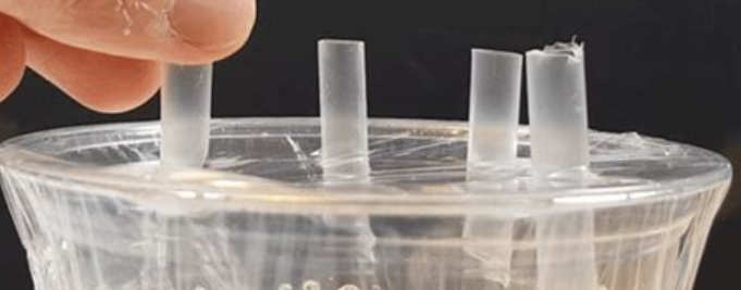 초파리 트랩 원리1