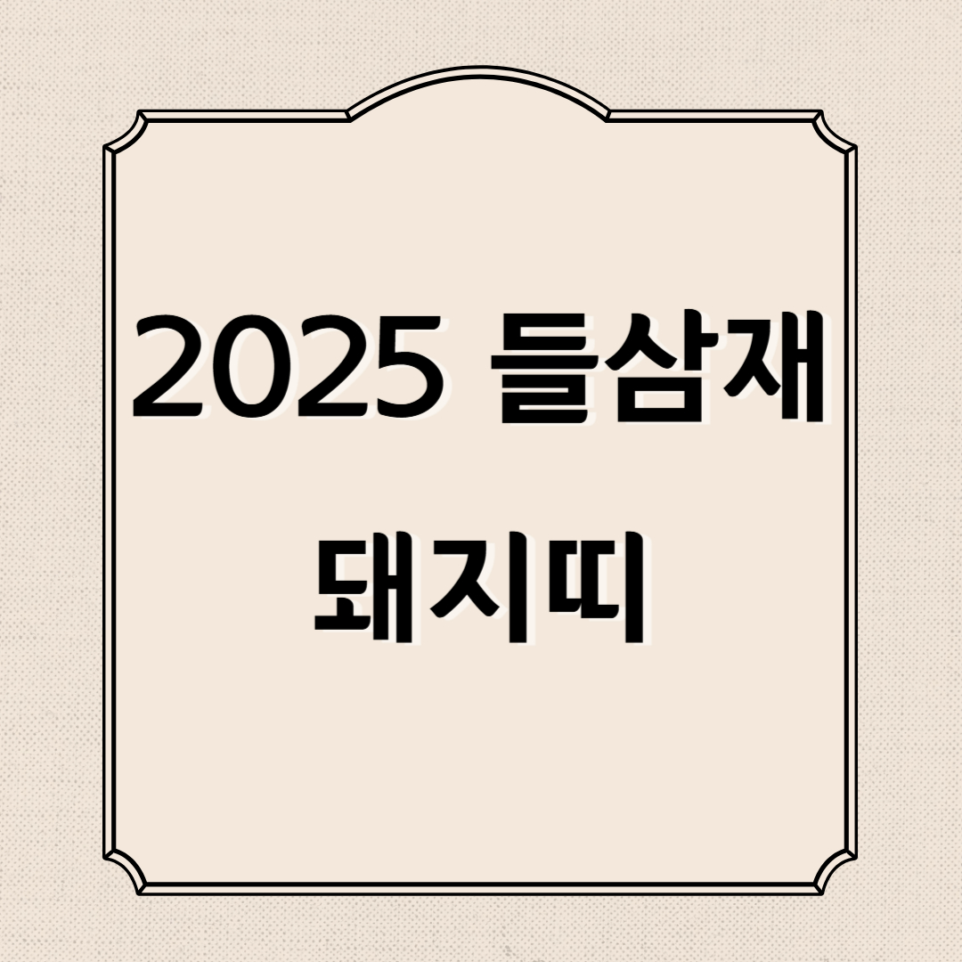 2025년 삼재띠