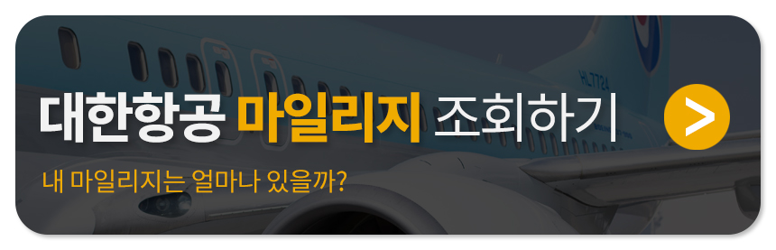 대한항공 마일리지 확인