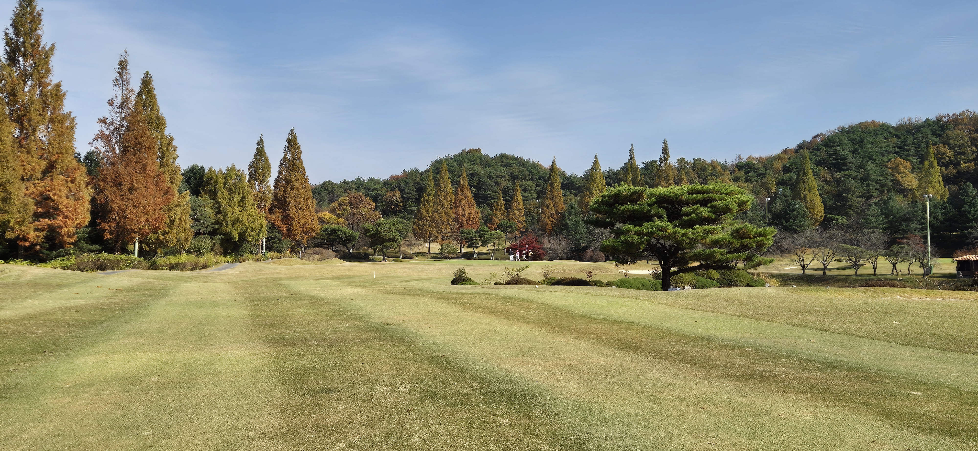 시그너스cc 실크코스 사진 및 공략 정보